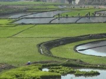 تنش آبی در ۷ شهر مازندران/ توصیه به کشاورزان در نوبت‌بندی آب