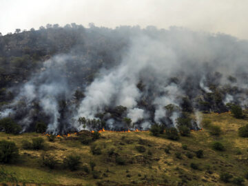 آتش‌ ۲ هکتار از جنگل‌های کیاسر را بلعید/ درخواست بالگرد دوم برای مهار آتش
