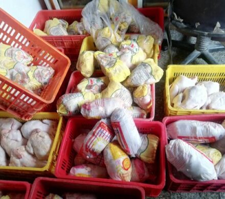 مازندران هیچگونه مشکلی در تامین مرغ ندارد/ جریمه ۹۴۰ میلیاردی متخلفان حوزه مرغ مازندران