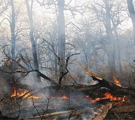 جنگل های مرزن آباد چالوس آتش گرفت