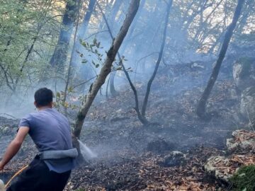 آتش سوزی جنگل تنکابن پس از ۴۸ ساعت مهار شد