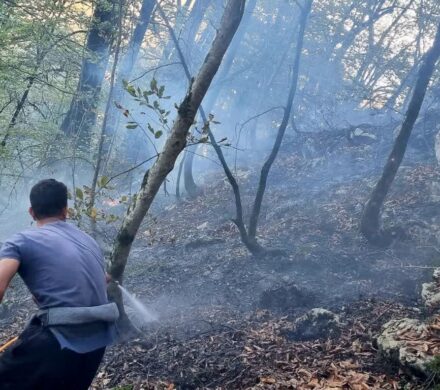 آتش سوزی جنگل تنکابن پس از ۴۸ ساعت مهار شد