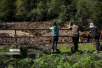 سود هزاران تُن چوب‌آلات آورده سیل مازندران کجا هزینه می‌شود؟